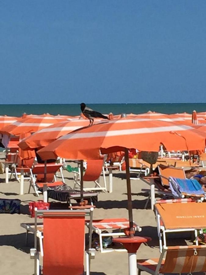 Verde Mare "Appartamenti Per Vacanze" Tortoreto المظهر الخارجي الصورة